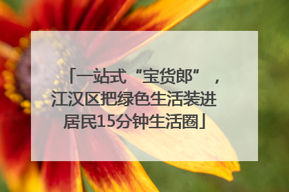 一站式“宝货郎”，江汉区把绿色生活装进居民15分钟生活圈