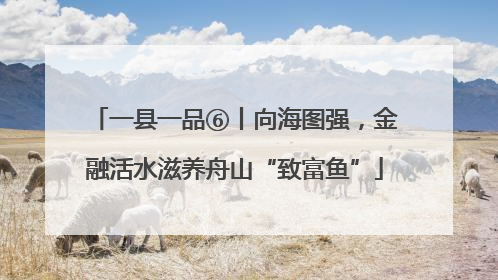 一县一品⑥丨向海图强，金融活水滋养舟山“致富鱼”