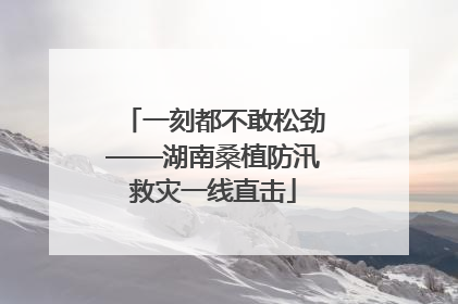 一刻都不敢松劲——湖南桑植防汛救灾一线直击