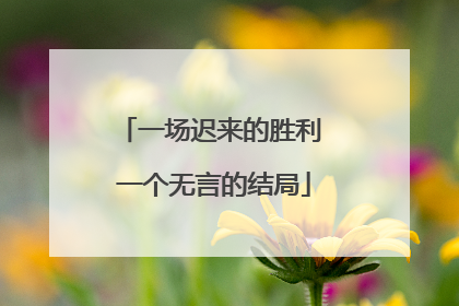 一场迟来的胜利 一个无言的结局
