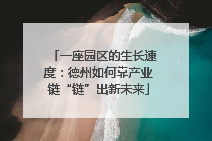 一座园区的生长速度：德州如何靠产业链“链”出新未来