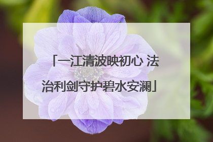 一江清波映初心 法治利剑守护碧水安澜