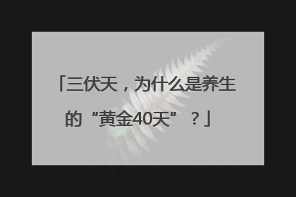 三伏天，为什么是养生的“黄金40天”？