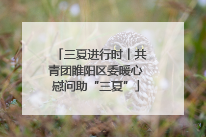 三夏进行时丨共青团睢阳区委暖心慰问助“三夏”