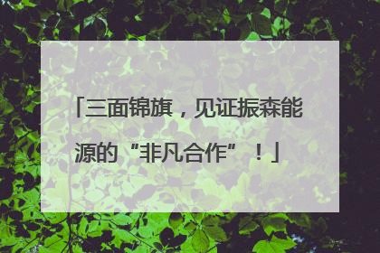 三面锦旗，见证振森能源的“非凡合作”！