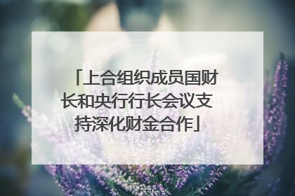 上合组织成员国财长和央行行长会议支持深化财金合作