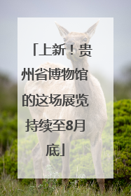 上新！贵州省博物馆的这场展览持续至8月底