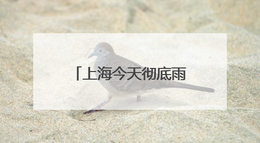 上海今天彻底雨止要到傍晚，节后气温冲高周三周四可达32℃