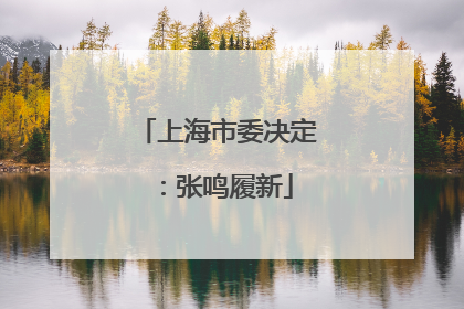 上海市委决定：张鸣履新