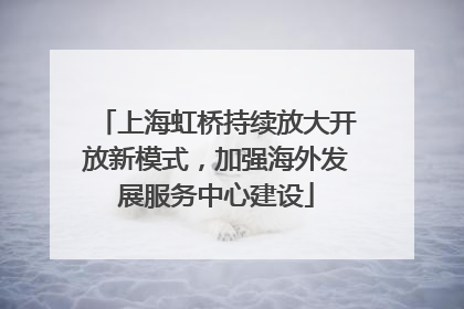 上海虹桥持续放大开放新模式，加强海外发展服务中心建设