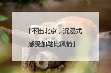 不出北京，沉浸式感受加勒比风情