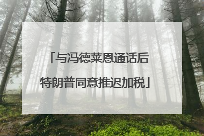 与冯德莱恩通话后 特朗普同意推迟加税