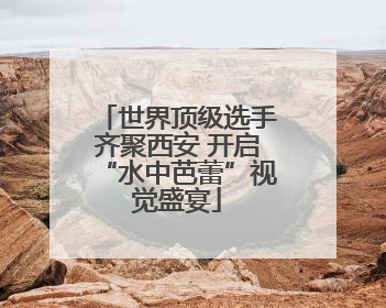 世界顶级选手齐聚西安 开启“水中芭蕾”视觉盛宴