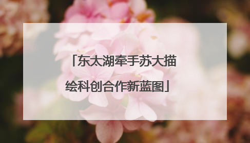 东太湖牵手苏大描绘科创合作新蓝图