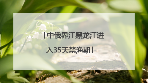 中俄界江黑龙江进入35天禁渔期