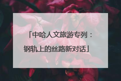 中哈人文旅游专列：钢轨上的丝路新对话