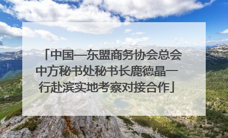 中国—东盟商务协会总会中方秘书处秘书长鹿德晶一行赴滨实地考察对接合作