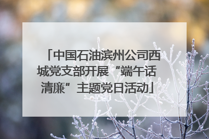 中国石油滨州公司西城党支部开展“端午话清廉”主题党日活动