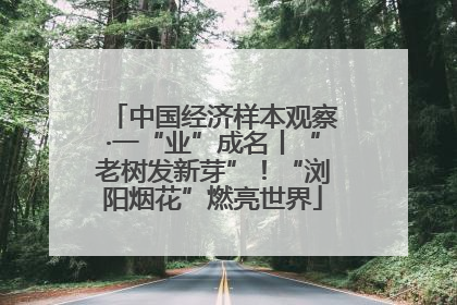 中国经济样本观察·一“业”成名丨“老树发新芽”！“浏阳烟花”燃亮世界