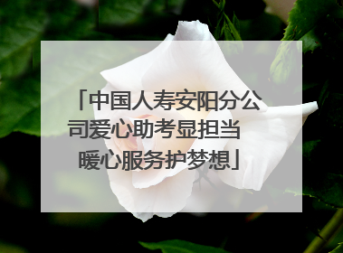 中国人寿安阳分公司爱心助考显担当 暖心服务护梦想