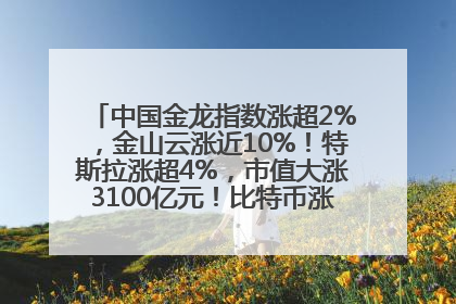 中国金龙指数涨超2%，金山云涨近10%！特斯拉涨超4%，市值大涨3100亿元！比特币涨回11万美元关口