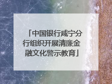 中国银行咸宁分行组织开展清廉金融文化警示教育