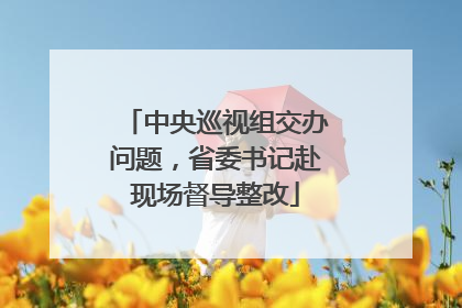 中央巡视组交办问题，省委书记赴现场督导整改