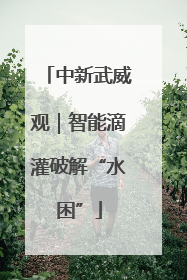 中新武威观｜智能滴灌破解“水困”