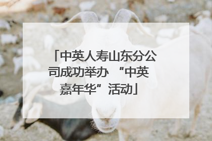 中英人寿山东分公司成功举办 “中英嘉年华”活动