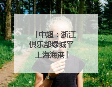 中超：浙江俱乐部绿城平上海海港