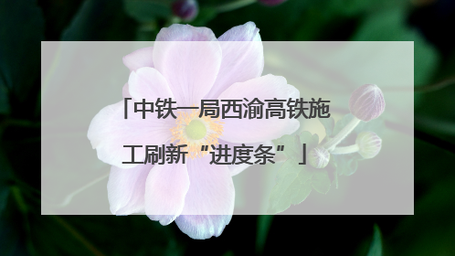 中铁一局西渝高铁施工刷新“进度条”