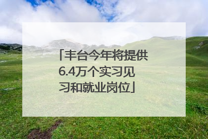 丰台今年将提供6.4万个实习见习和就业岗位