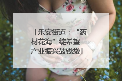 乐安街道：“药材花海”绽希望 产业振兴鼓钱袋
