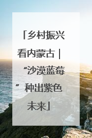 乡村振兴看内蒙古｜“沙漠蓝莓”种出紫色未来