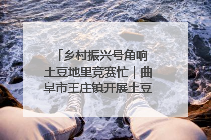 乡村振兴号角响 土豆地里竞赛忙｜曲阜市王庄镇开展土豆收获劳动竞赛