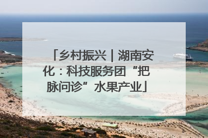 乡村振兴｜湖南安化：科技服务团“把脉问诊”水果产业