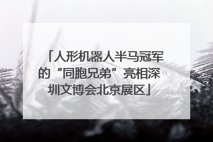 人形机器人半马冠军的“同胞兄弟”亮相深圳文博会北京展区
