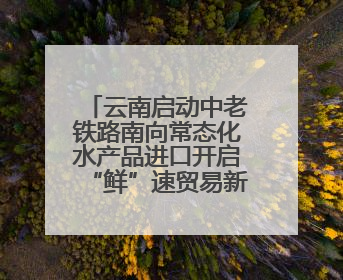 云南启动中老铁路南向常态化水产品进口开启“鲜”速贸易新征程