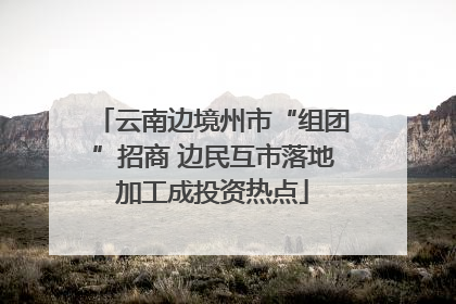云南边境州市“组团”招商 边民互市落地加工成投资热点