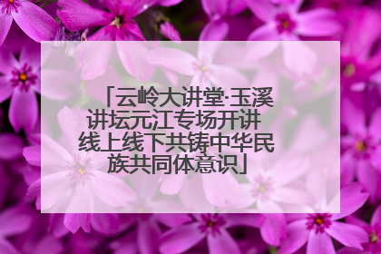 云岭大讲堂·玉溪讲坛元江专场开讲 线上线下共铸中华民族共同体意识