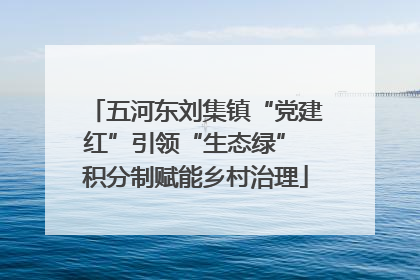 五河东刘集镇“党建红”引领“生态绿” 积分制赋能乡村治理