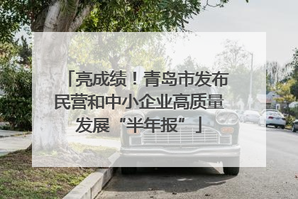 亮成绩！青岛市发布民营和中小企业高质量发展“半年报”