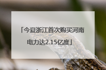 今夏浙江首次购买河南电力达2.15亿度