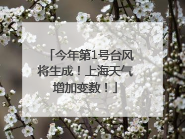 今年第1号台风将生成！上海天气增加变数！