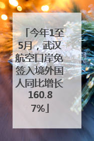 今年1至5月，武汉航空口岸免签入境外国人同比增长160.87%