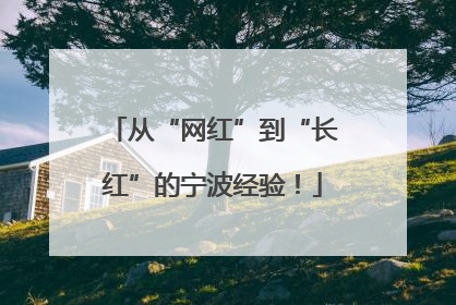 从“网红”到“长红”的宁波经验！