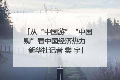 从“中国游”“中国购”看中国经济热力 新华社记者 樊 宇