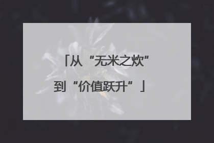 从“无米之炊”到“价值跃升”