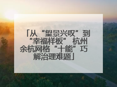 从“望景兴叹”到“幸福样板” 杭州余杭网格“十能”巧解治理难题