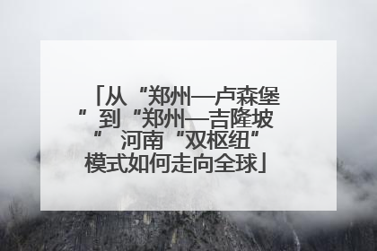 从“郑州—卢森堡”到“郑州—吉隆坡” 河南“双枢纽”模式如何走向全球